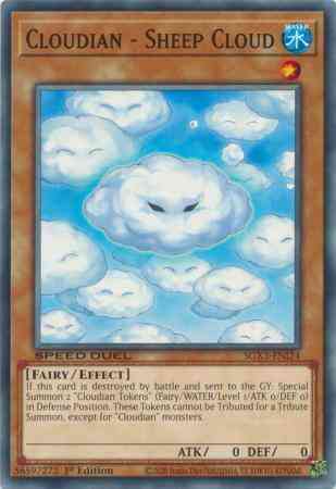 Cloudian - Sheep Cloud - SGX3-ENI24 - Common - 1st Edition