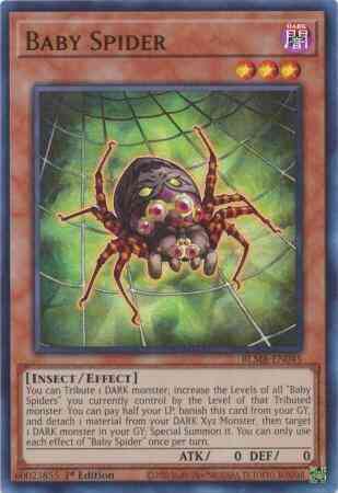 Baby Spider - BLMR-EN045 - Ultra Rare - 1st Edition
