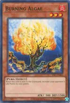 Burning Algae - 25th Anniversary - IOC-EN062 - Common - Unlimited