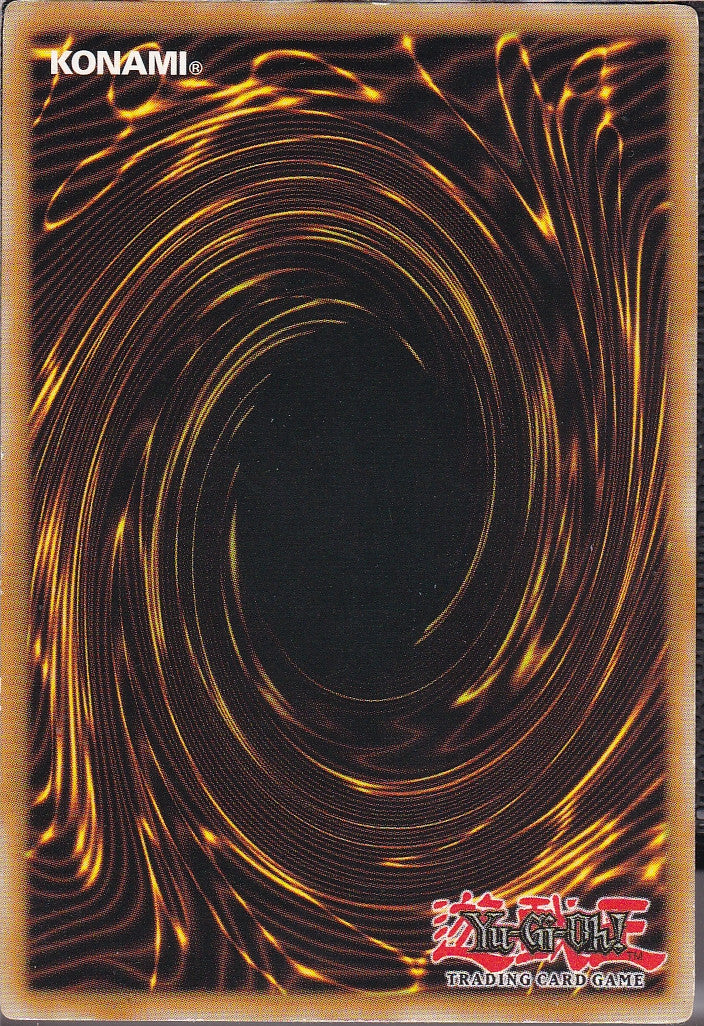 SIN-SCAN-12940
