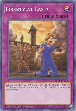 Liberty at Last! - LED8-EN034 - Common - 1st Edition