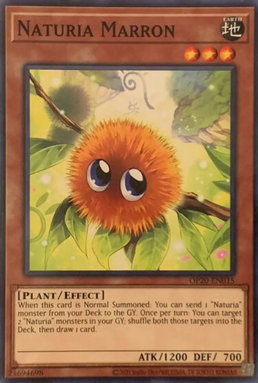Naturia Marron - OP20-EN015 - Common - Unlimited