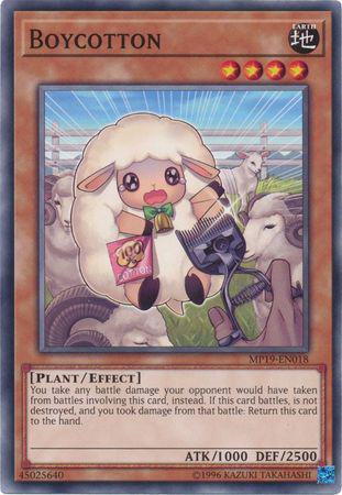 Boycotton - MP19-EN018 - Common - Unlimited