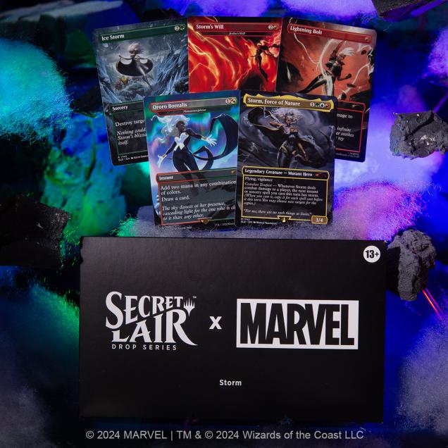 SEA-SLD-MTG-STORM