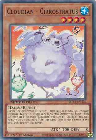 Cloudian - Cirrostratus - SGX3-ENH05 - Common - 1st Edition