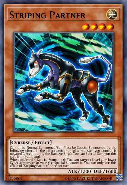 Striping Partner - MP18-EN171 - Common - 1st Edition