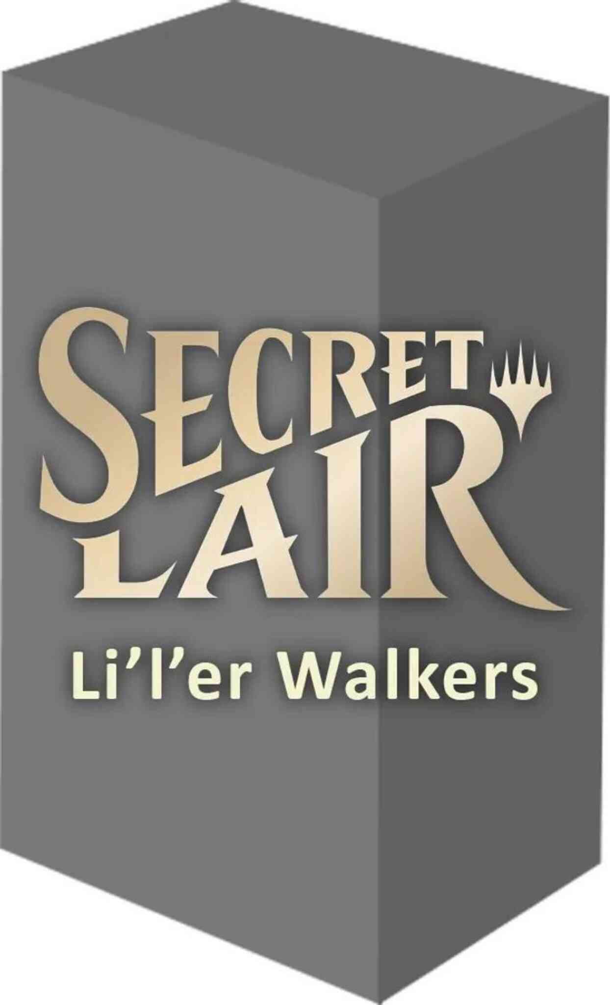 SEA-SLD-MTG-LILER_WALKERS