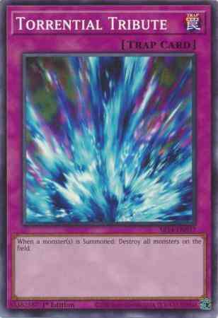 Torrential Tribute - SR14-EN037 - Common - 1st Edition