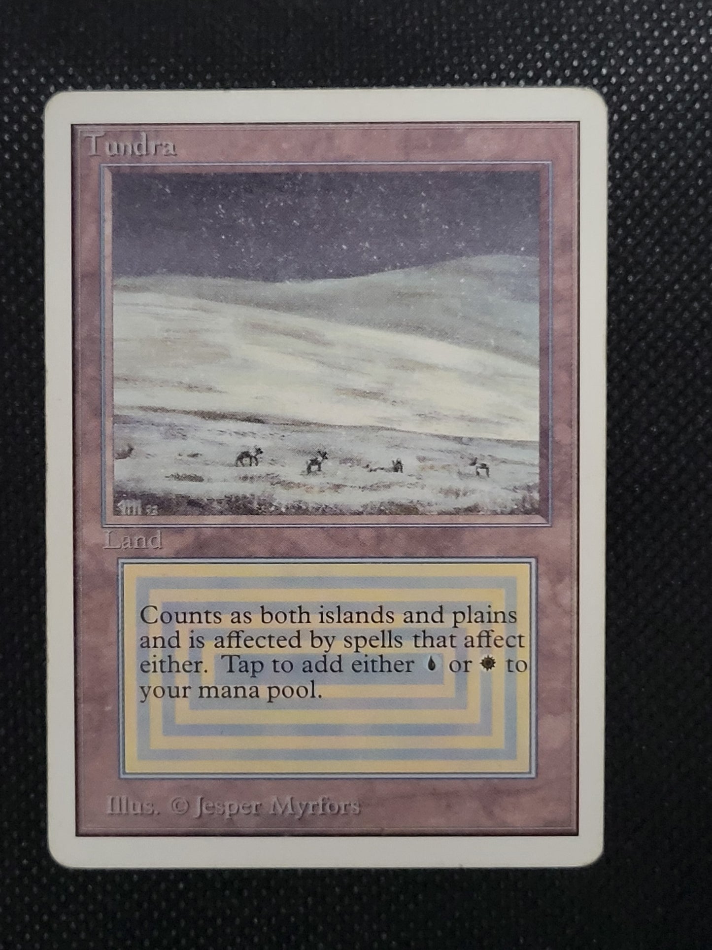 Tundra — ID 17629