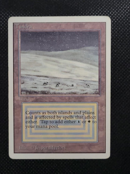 Tundra — ID 17629
