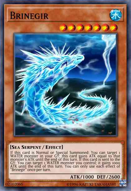 Brinegir - CHIM-EN026 - Common - 1st Edition