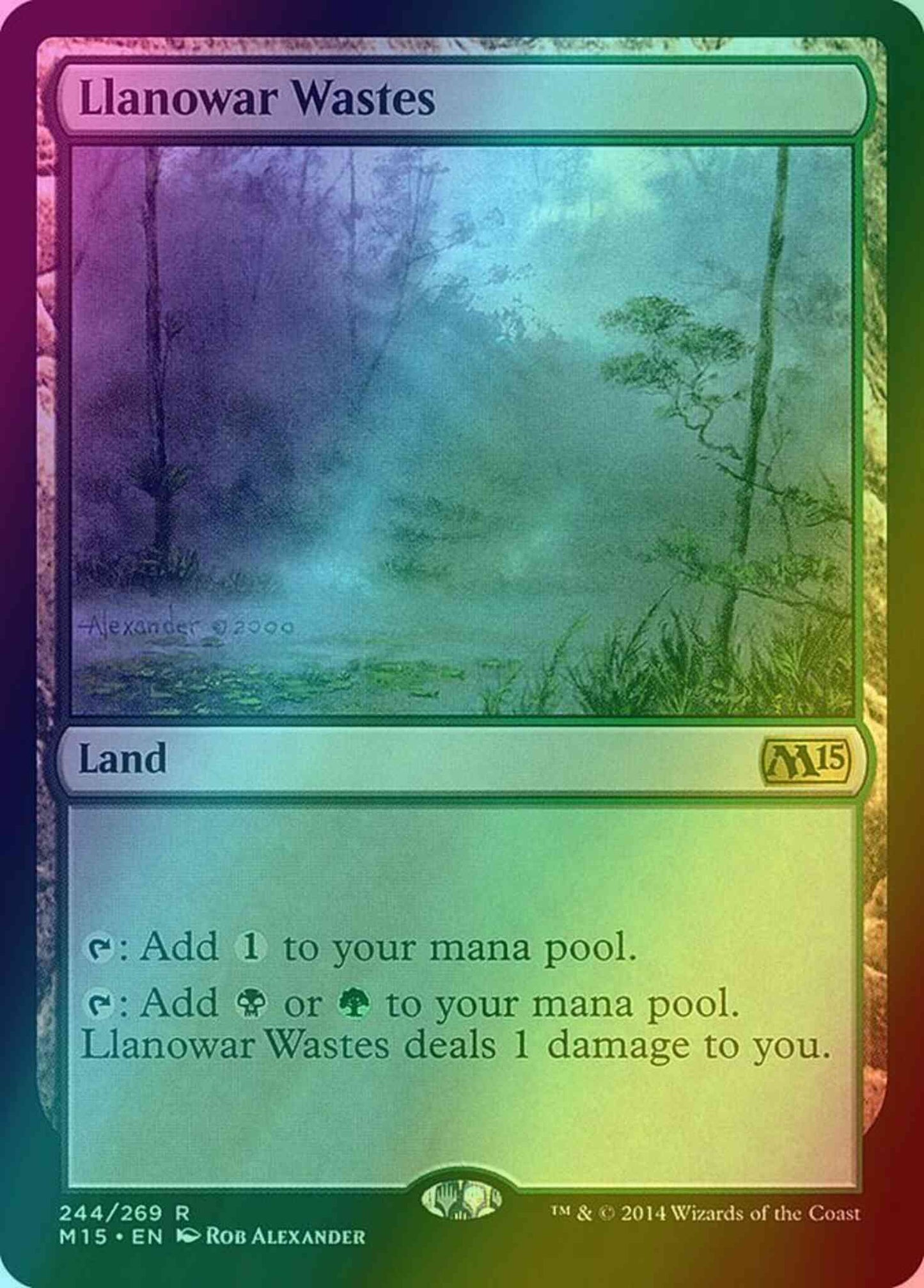 Llanowar Wastes [244] [Magic 2015] [Foil]