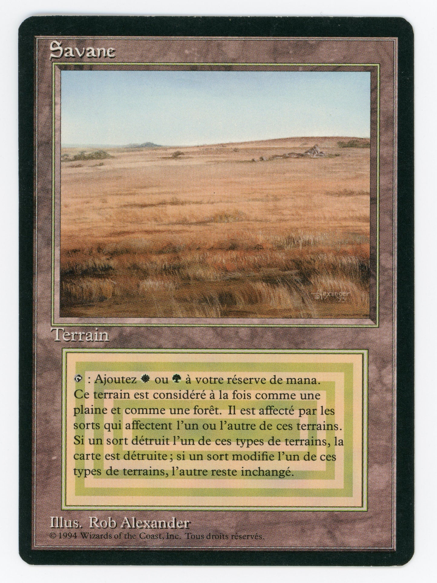 SIN-SCAN-16143