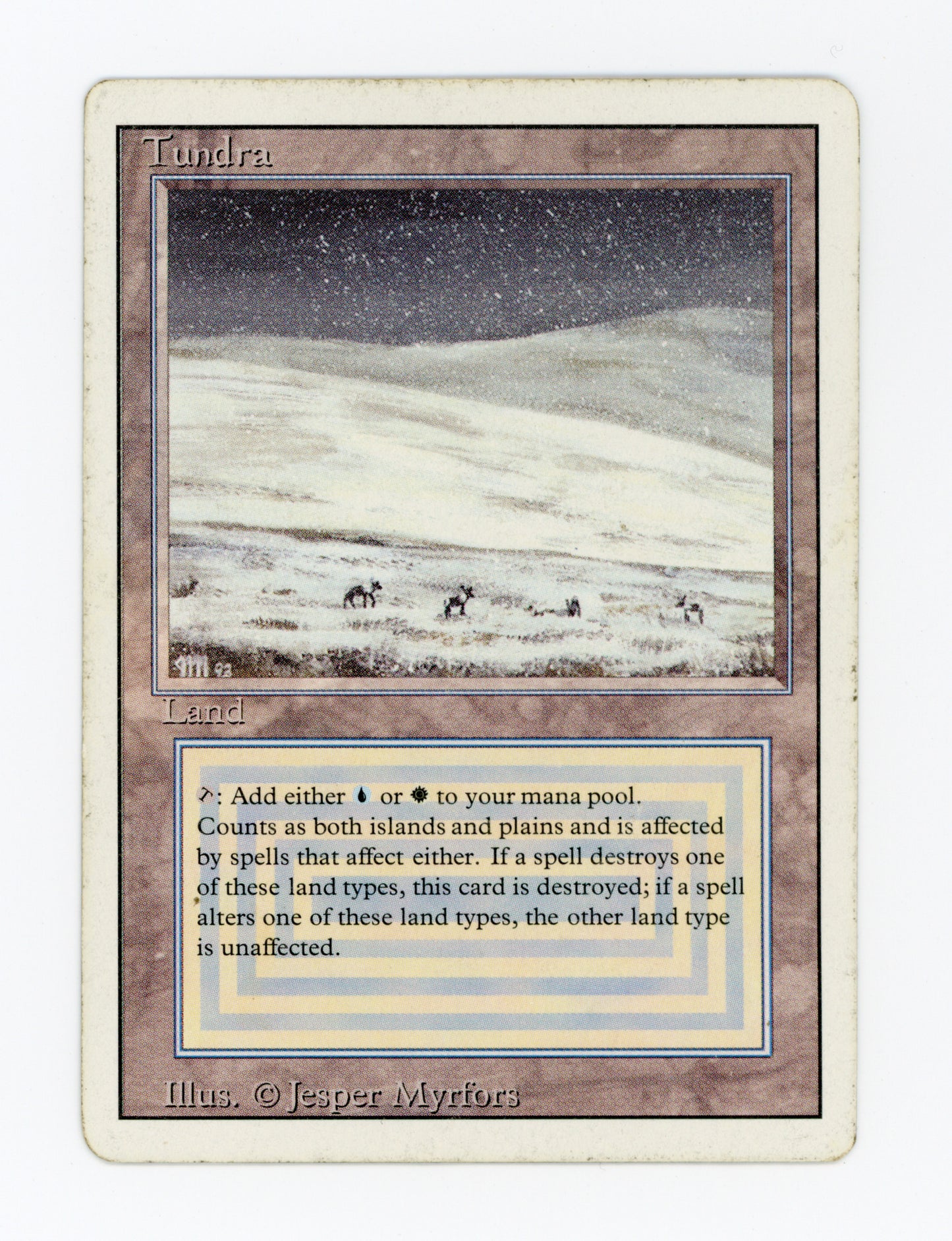 Tundra — Damaged — ID 18475