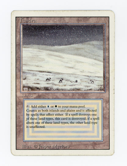 Tundra — Damaged — ID 18475
