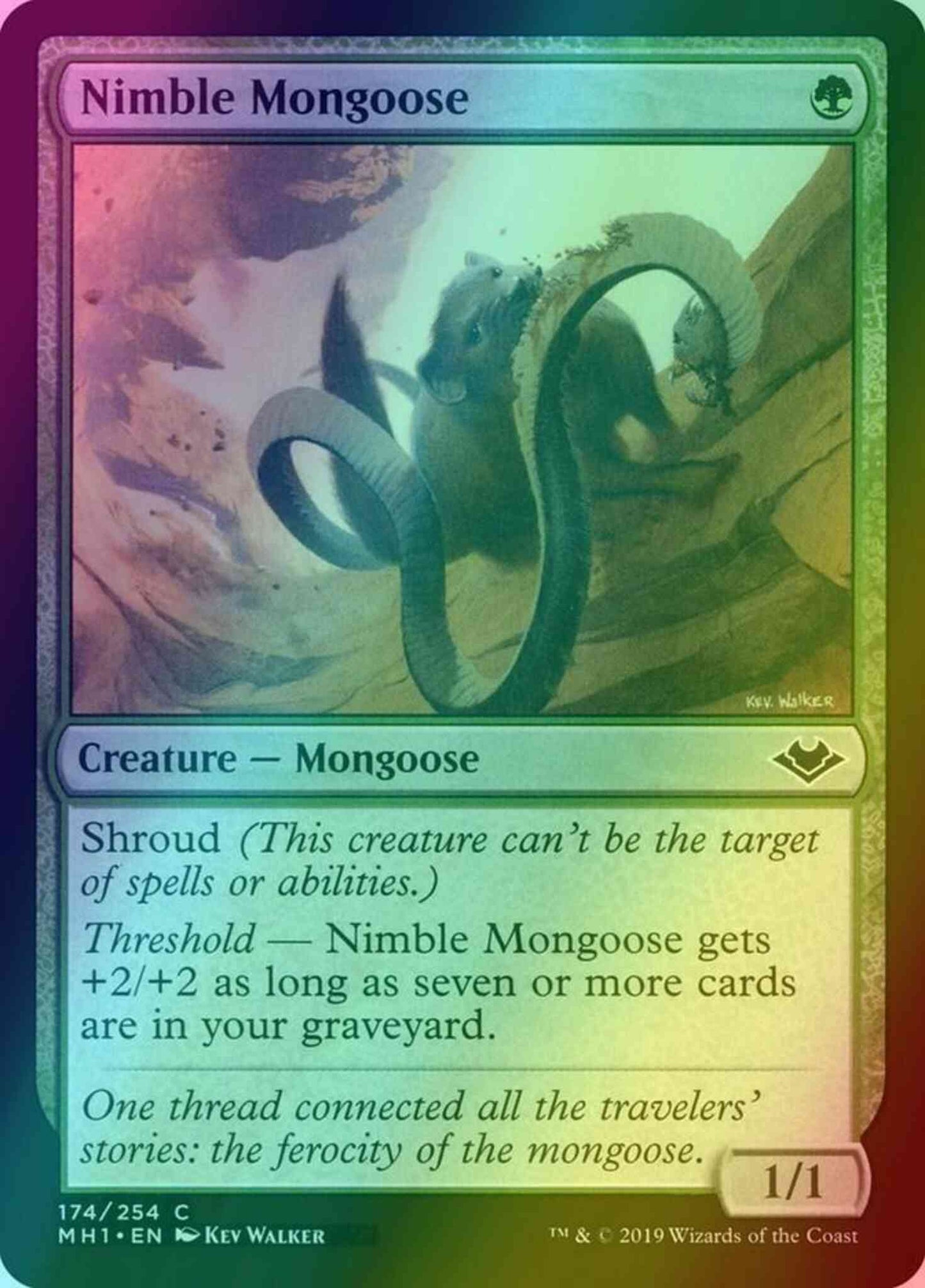 Nimble Mongoose [174] [Modern Horizons] [Foil]