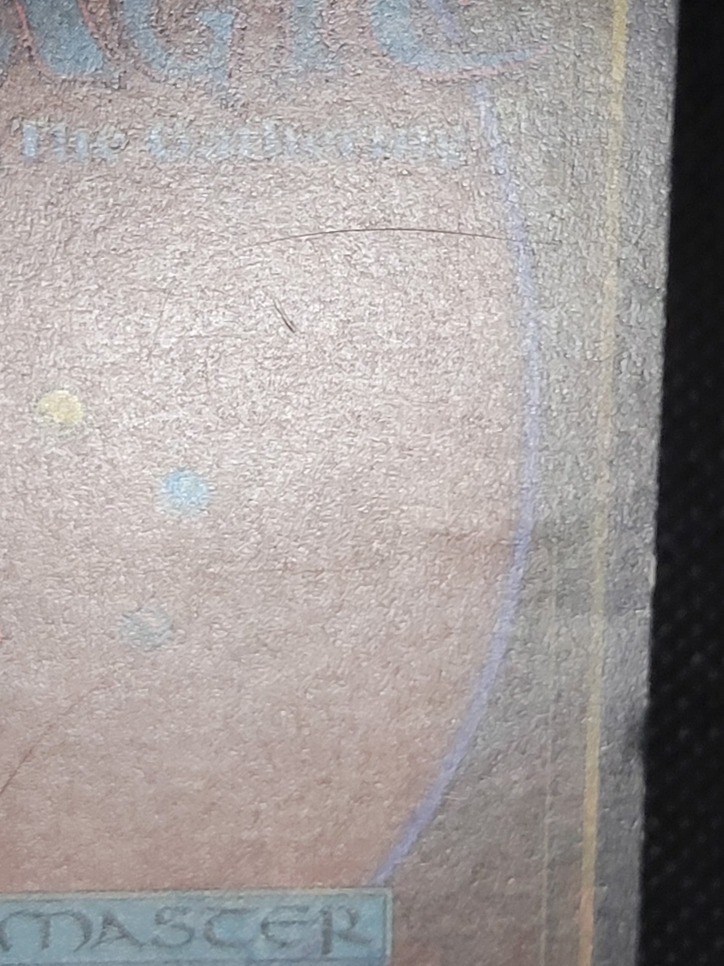Savannah — Damaged — ID 18250