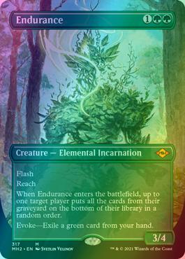 Endurance [317] [Borderless] [Modern Horizons 2] [Foil]
