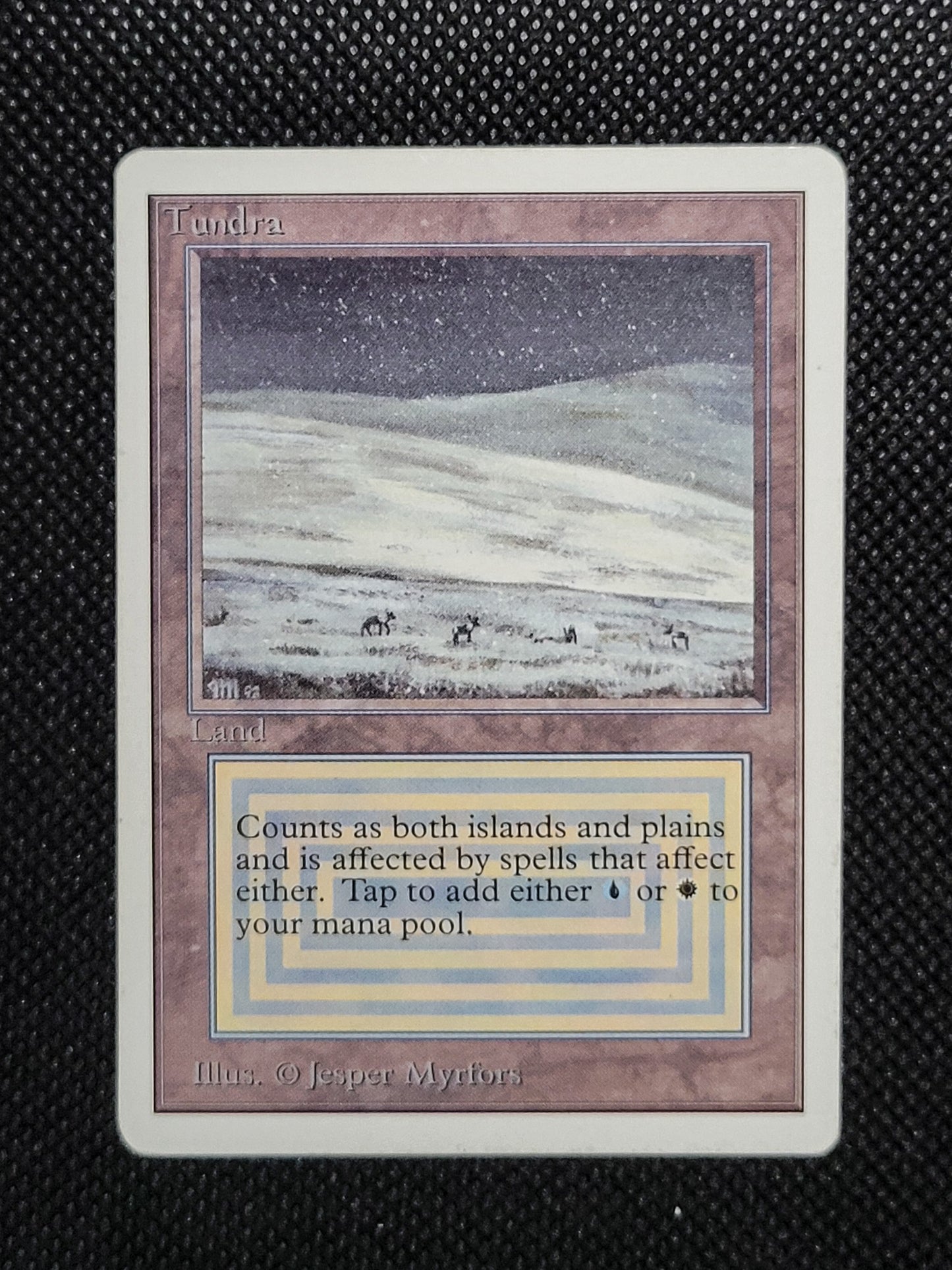 Tundra — ID 16976