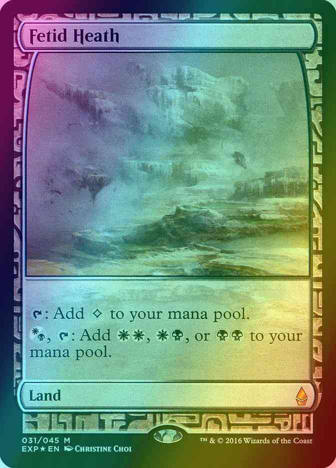 Fetid Heath [31] [Masterpiece Series] [Zendikar Expeditions] [Foil]