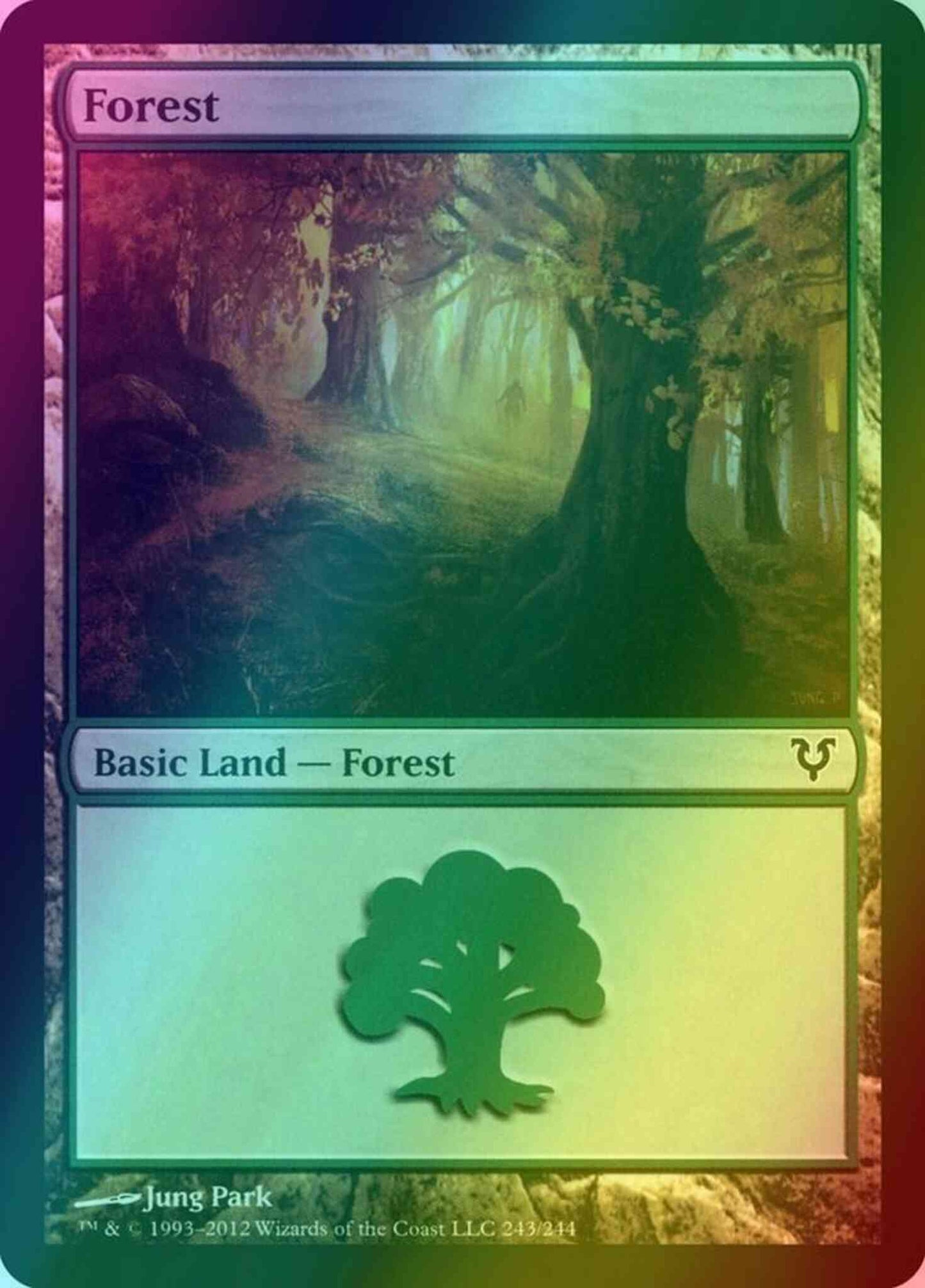 Forest [243] [Avacyn Restored] [Foil]