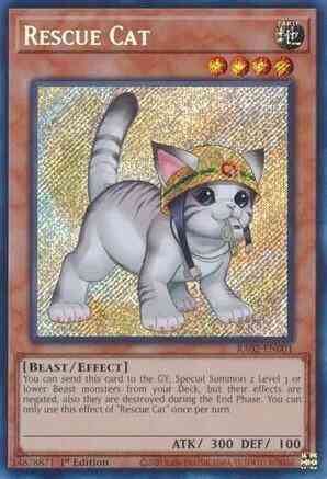 Rescue Cat - Alternate Art - RA02-EN001 - Secret Rare - 1st Edition