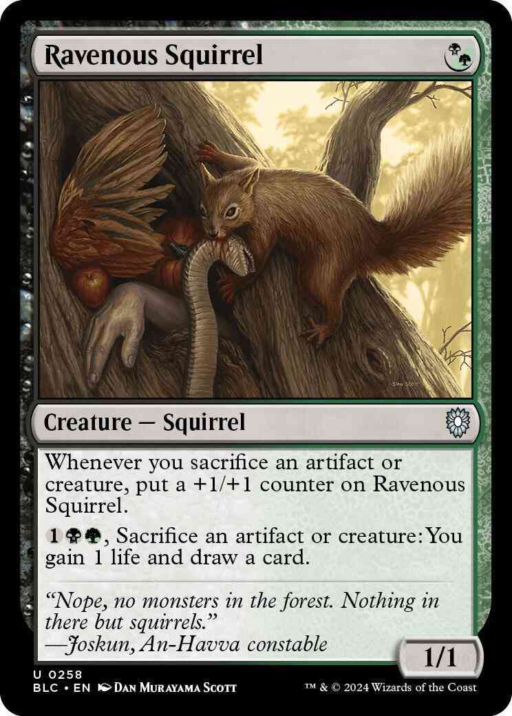 Ravenous Squirrel [258] [Bloomburrow: Commander] [Non-Foil]