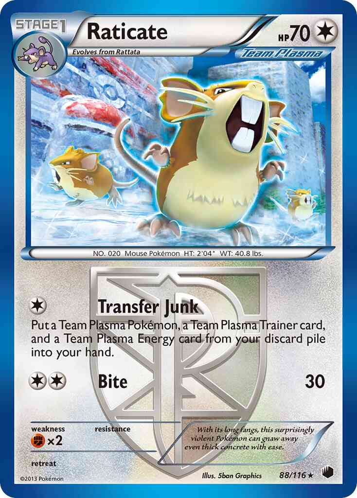 Raticate - 88/116 - Rare [bw9-88] [Reverse Holo]
