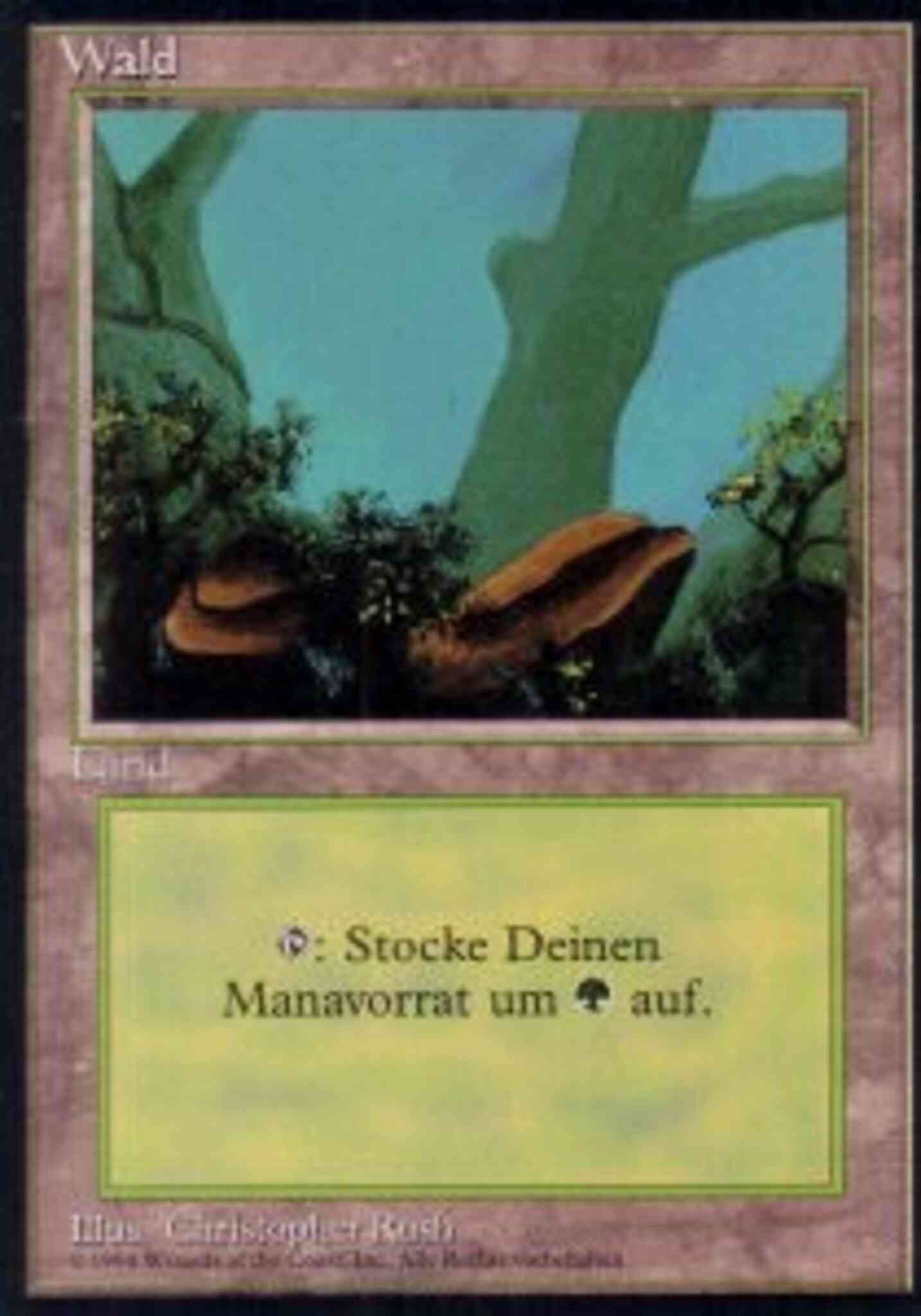 Forest - German [Rocks] [304] [Foreign Black Border: German] [Non-Foil]