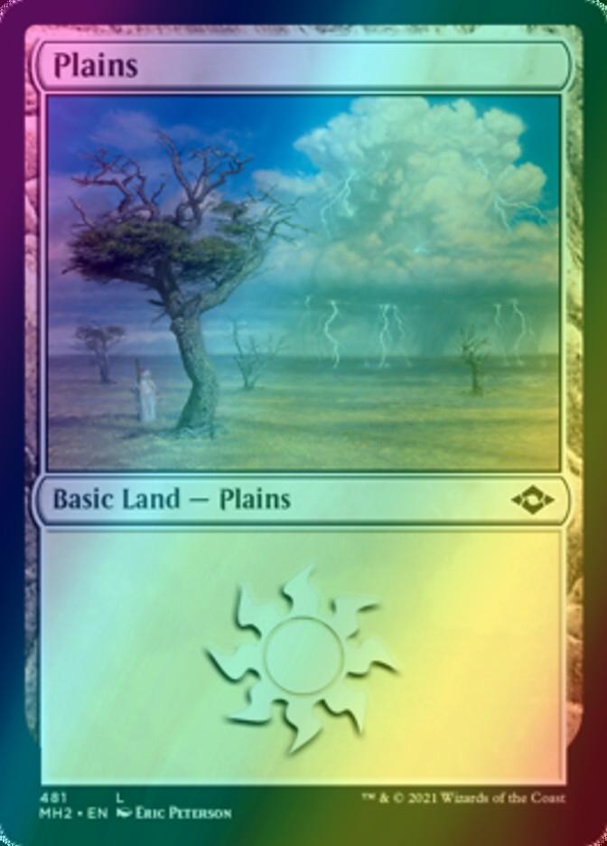Plains [481] [Modern Horizons 2] [Foil]