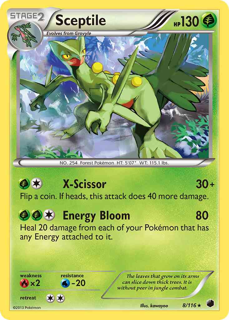 Sceptile - 8/116 - Rare Holo [bw9-8] [Holo]