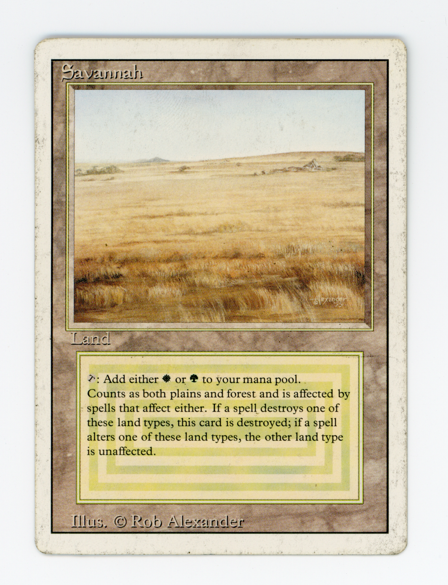 SIN-SCAN-16731