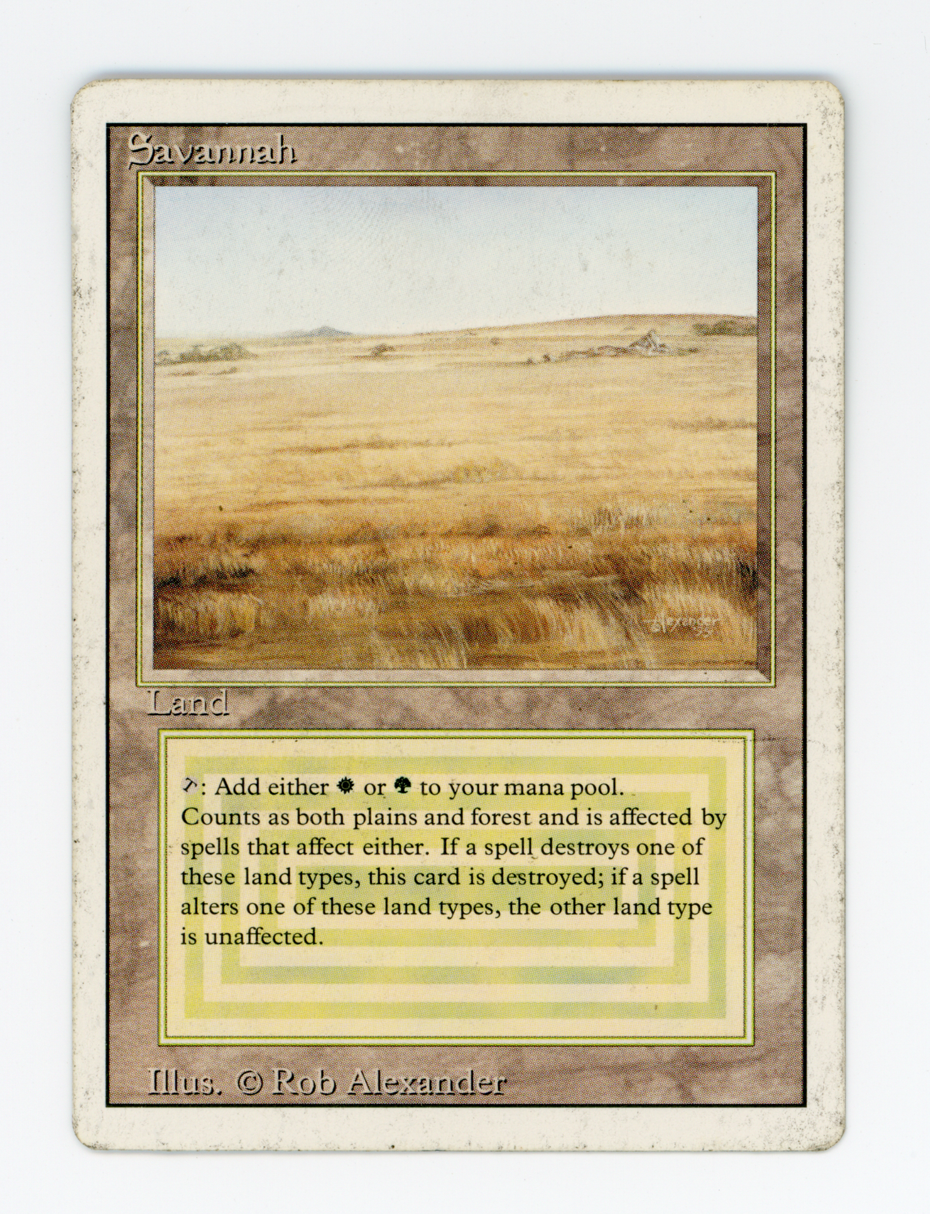 SIN-SCAN-16731