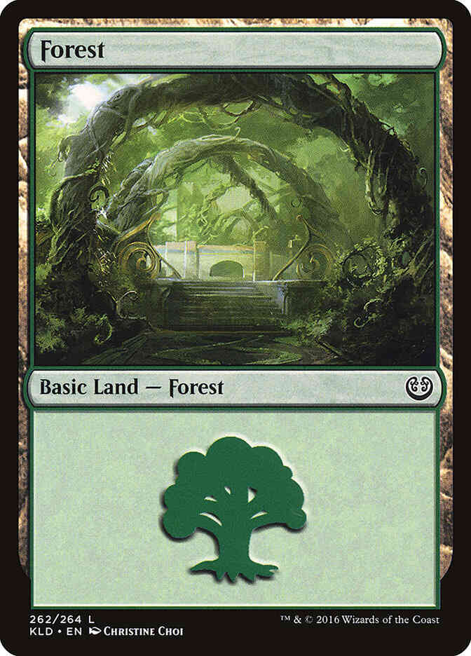 Forest [262] [Kaladesh] [Non-Foil]