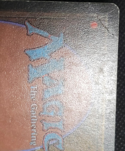Tundra — Damaged — ID 18188