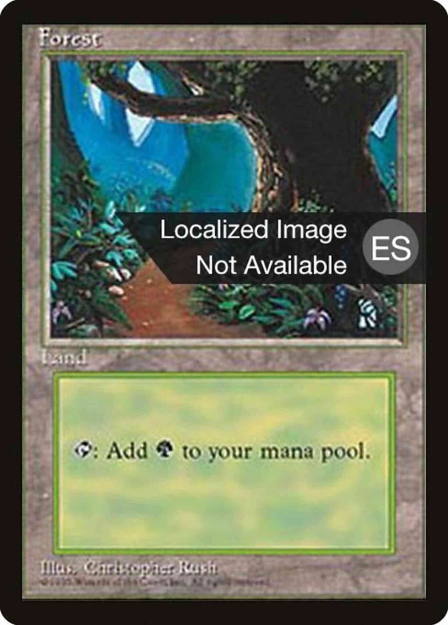 Forest - Portuguese [Path] [377] [Fourth Edition Black Border: Portuguese] [Non-Foil]