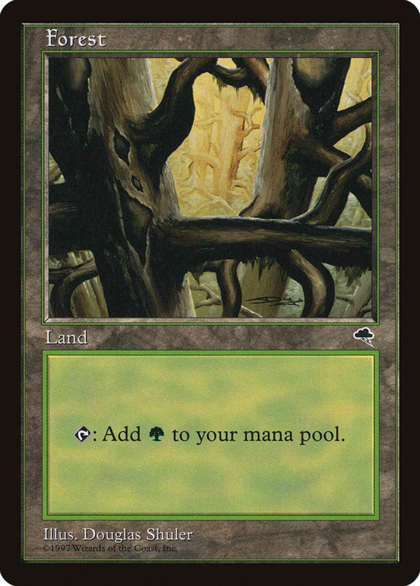 Forest [350] [Looking Down] [Tempest] [Non-Foil]