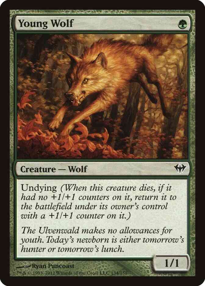 Young Wolf [134] [Dark Ascension] [Non-Foil]