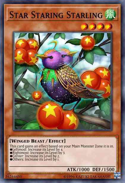 Star Staring Starling - DANE-EN024 - Rare - 1st Edition