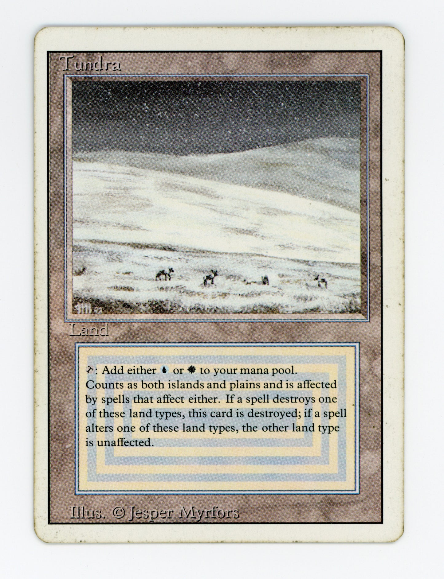 Tundra — ID 18844
