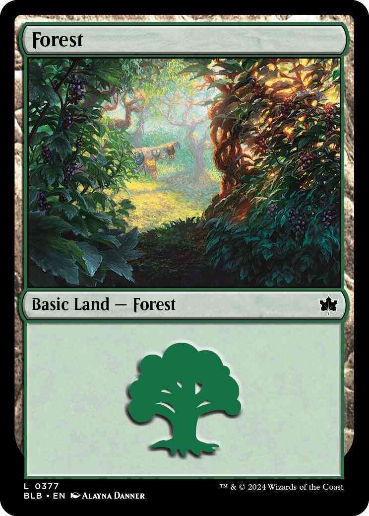 Forest [377] [Bloomburrow] [Non-Foil]