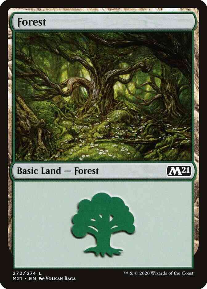 Forest [272] [Core Set 2021] [Non-Foil]