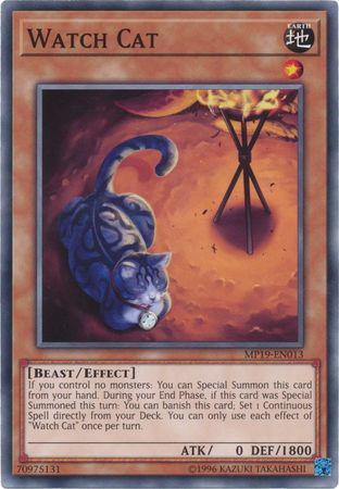 Watch Cat - MP19-EN013 - Common - Unlimited