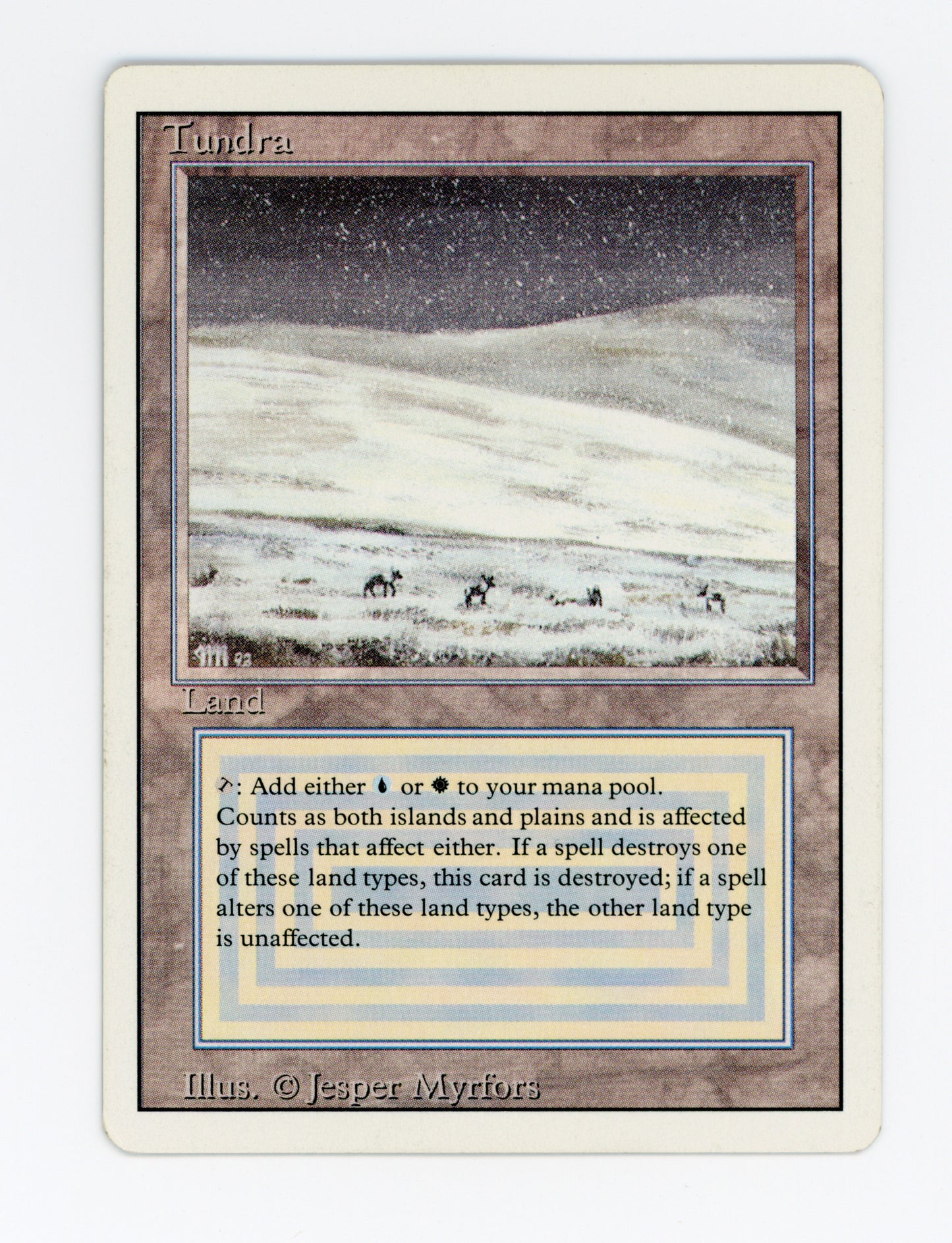 Tundra — ID 18073