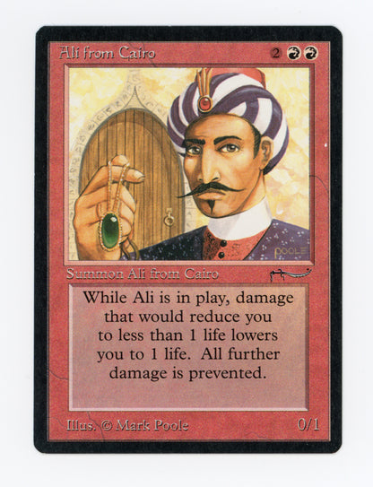 Ali from Cairo — ID 17884