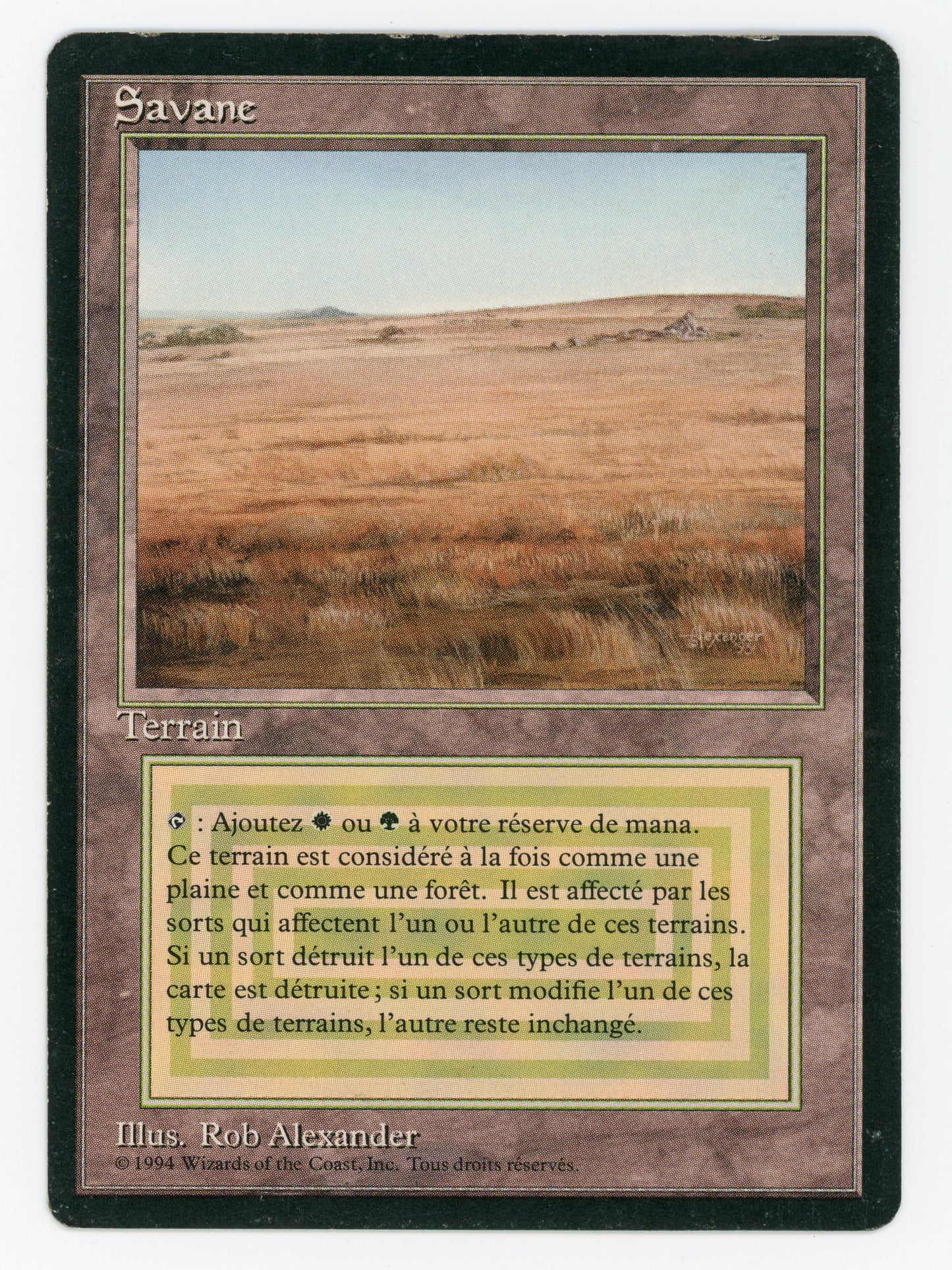 SIN-SCAN-16144