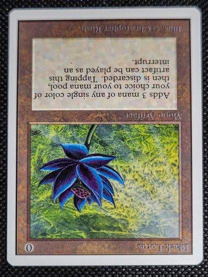 SIN-SCAN-16557_d