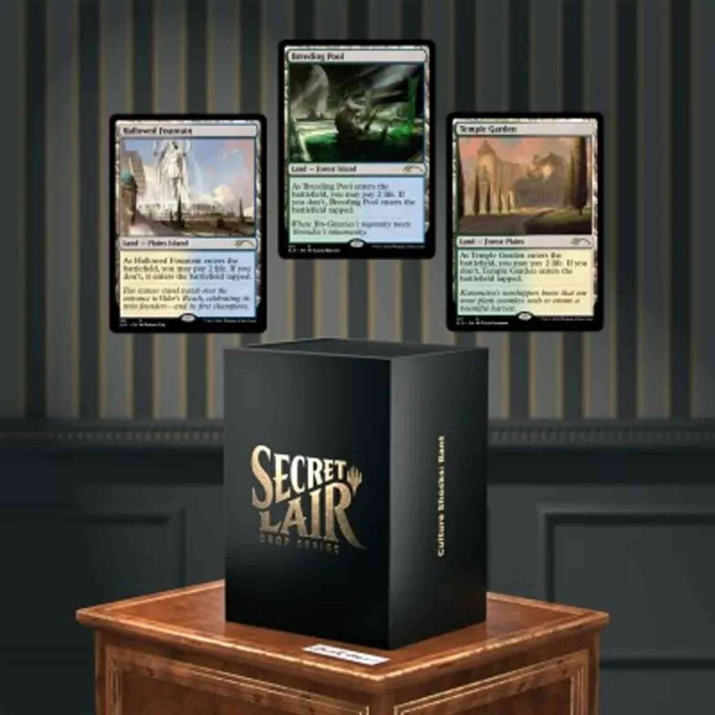 SEA-SLD-MTG-Culture_Shocks_Bant