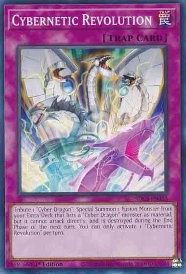 Cybernetic Revolution - SDCS-EN035 - Common - Unlimited