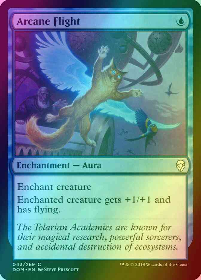 Arcane Flight [43] [Dominaria] [Foil]